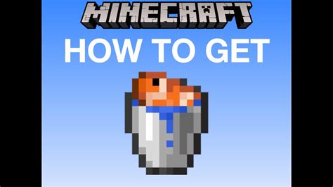 How To Get Fish In A Bucket Minecraft Java