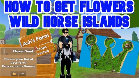 how to get flowers in islands roblox