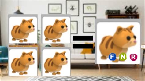 How To Get Ginger Cat In Adopt Me
