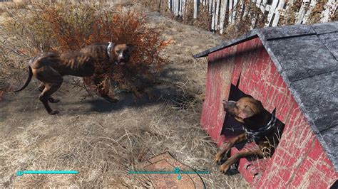 How To Get Guard Dogs In Fallout 4