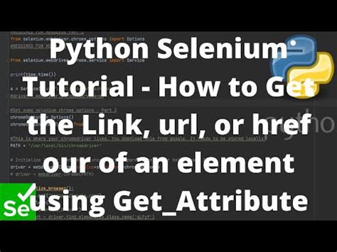 how to get href link in selenium python