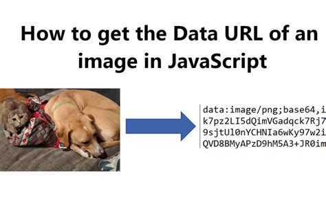 how to get image data from url in javascript