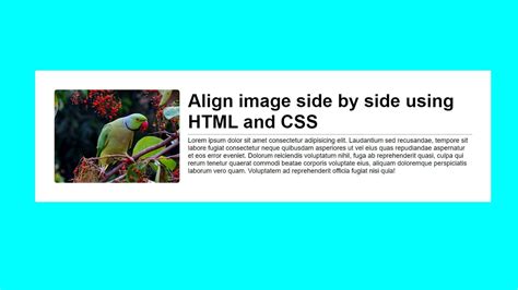 how to get image right side in html
