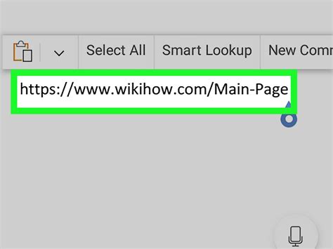 how to get image url in html