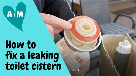 How To Get Into Toilet Cistern
