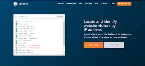 how to get ip address from api call