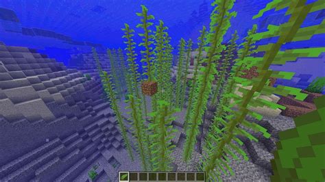 how to get kelp