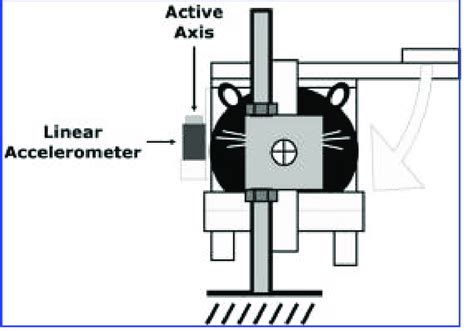 How To Get Linear Acceleration From Accelerometer