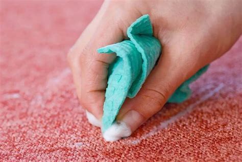 How To Get Mud Out Of Wool Carpet