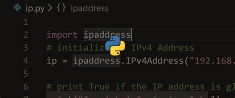 how to get my public ip address in python