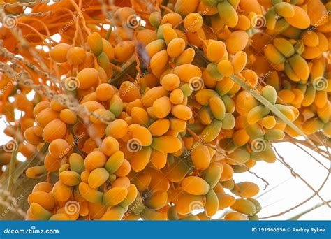 how to get orange date on pictures