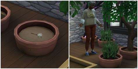 How To Get Orchids In Sims 4