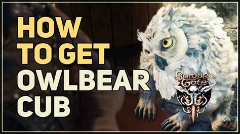 how to get owlbear pet bg3