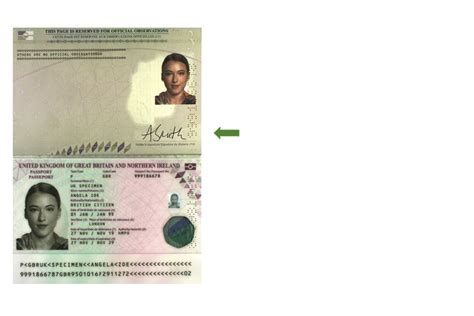 How To Get Passport Details Using Name