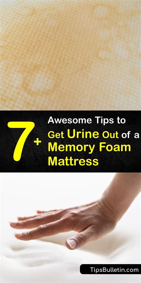 How To Get Pee Out Of Memory Foam Pad
