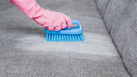 How To Get Pee Out Of Polyester Couch
