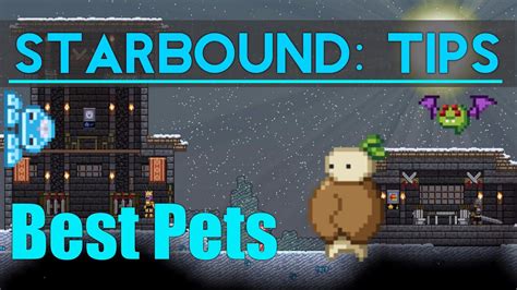 How To Get Pet In Starbound