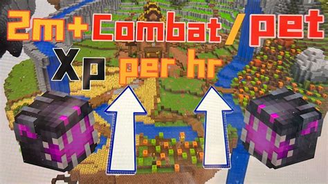 How To Get Pet Xp Fast In Hypixel Skyblock