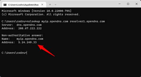 how to get public ip address from command prompt