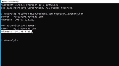 how to get public ip address using cmd