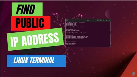 how to get public ip in linux terminal