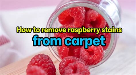 How To Get Raspberry Stains Out Of White Carpet