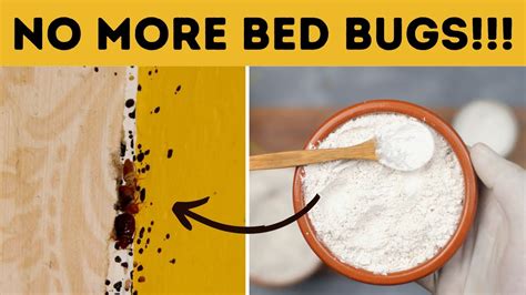 How To Get Rid Of A Bed Base