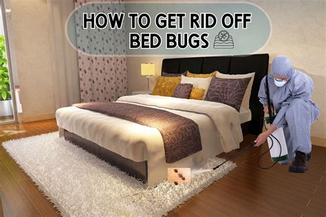 How To Get Rid Of A Bed In Nyc