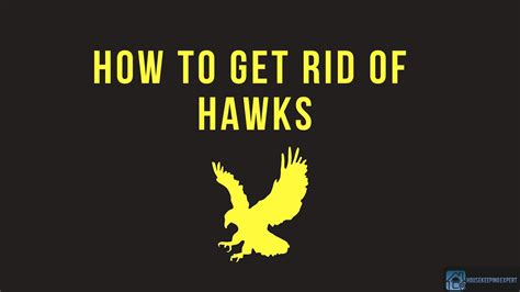 how to get rid of a hawk