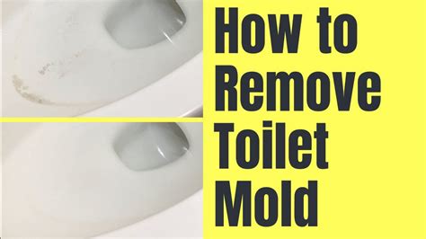 How To Get Rid Of Algae In Toilet Bowl
