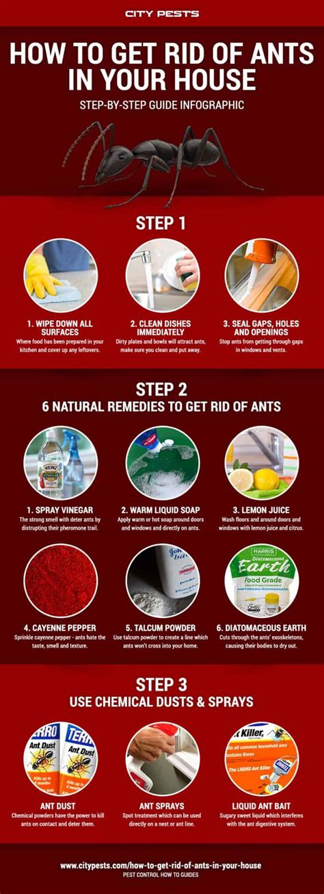 How To Get Rid Of Ants And Bugs In The House
