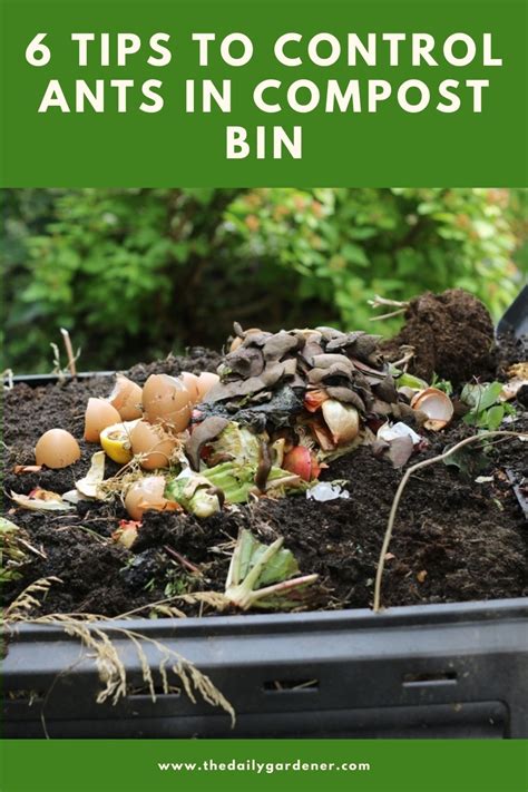 How To Get Rid Of Ants In Compost Bin