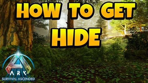How To Get Rid Of Auto Hide In Ark Xbox