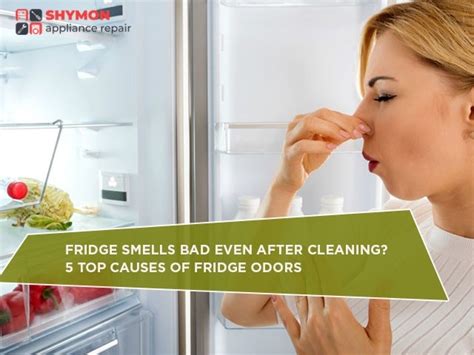 How To Get Rid Of Bad Smell In The Refrigerator