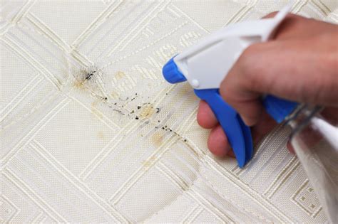 how to get rid of bed bug stains on mattress