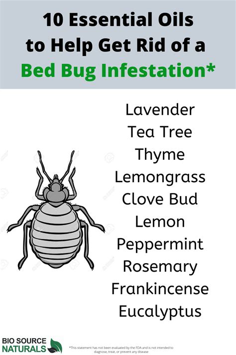 How To Get Rid Of Bed Bugs Using Essential Oils