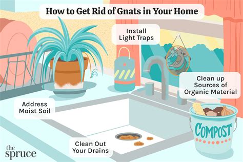 How To Get Rid Of Bedroom Gnats