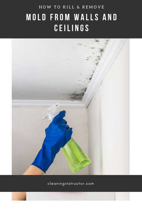 how to get rid of black mould on walls and ceilings
