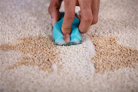 How To Get Rid Of Bleach Stains From Carpet