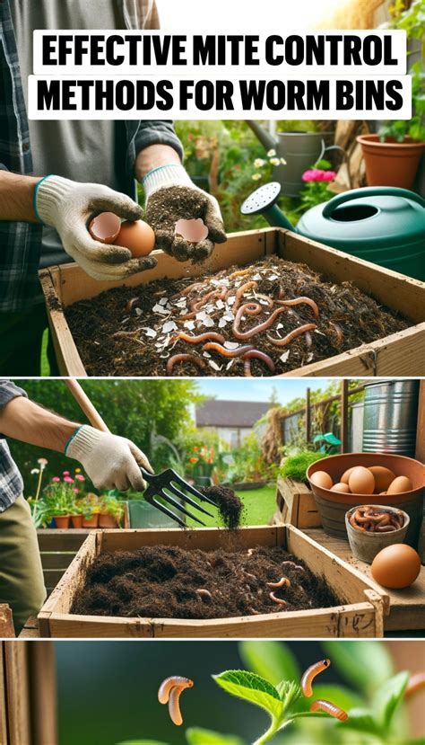 How To Get Rid Of Bugs In Worm Bin