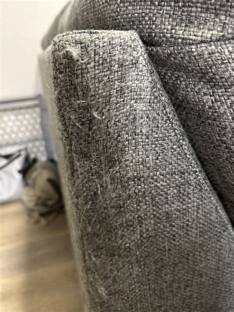 How To Get Rid Of Couch Reddit
