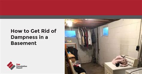 How To Get Rid Of Dampness In A Basement