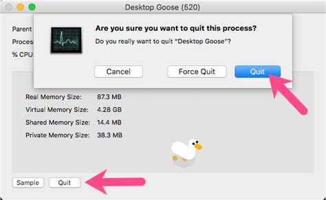 How To Get Rid Of Desktop Duck
