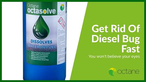 How To Get Rid Of Diesel Bug