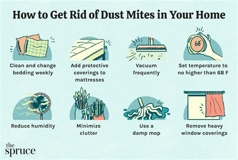 How To Get Rid Of Dust Mites In House