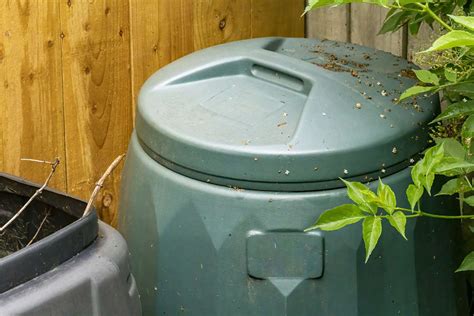 How To Get Rid Of Flies In The Compost Bin