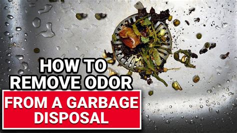 How To Get Rid Of Garbage Odor In House