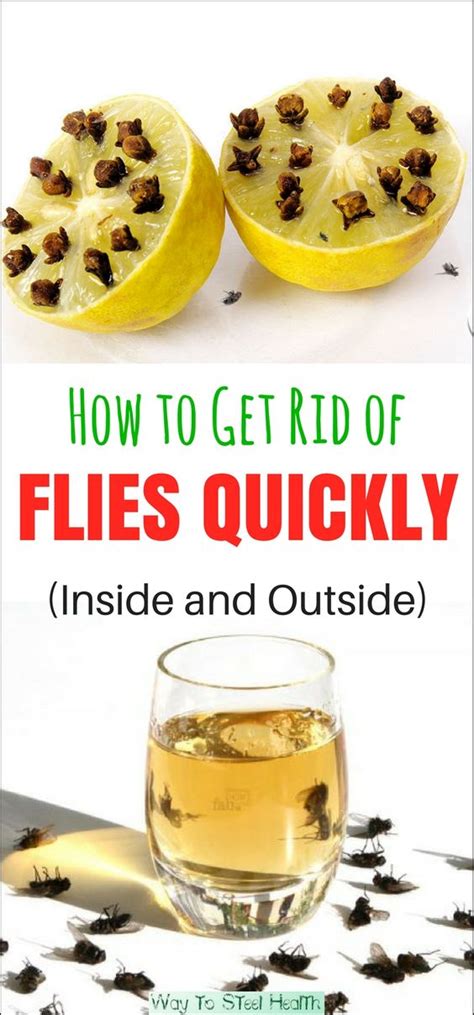 how to get rid of garden flies