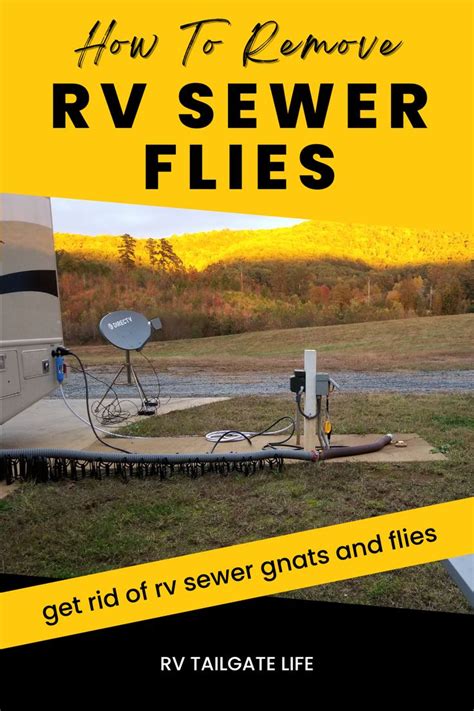 How To Get Rid Of Gnats in Your Home Housewife HowTos