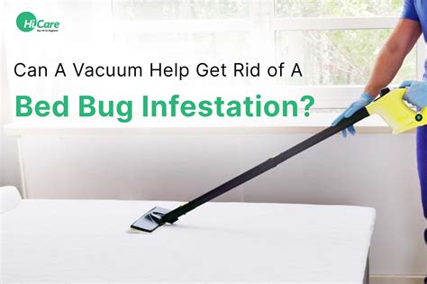 How To Get Rid Of Light Bed Bug Infestation